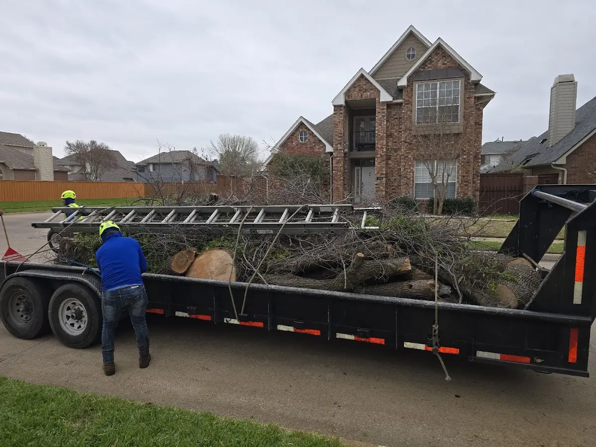 Expert Tree Removal with proper safety equipment in Oxford